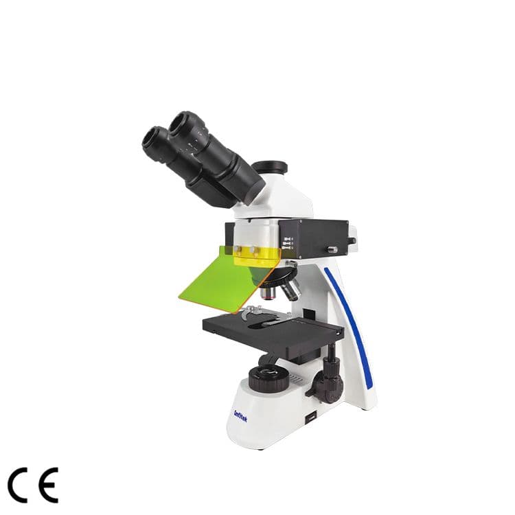 Fluorescence Microscope, MSC-F31 — Mikroskop