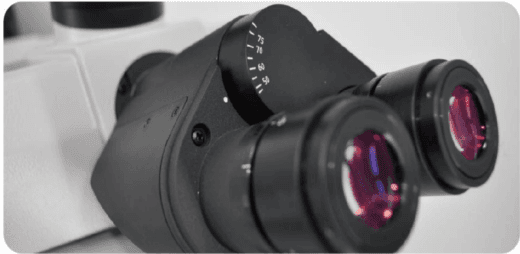 MSC-F43N Fluorescence Microscope