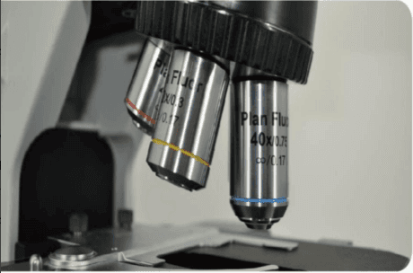MSC-F43N Fluorescence Microscope