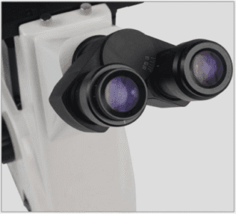 MSC-IV52BN Inverted Biological Microscope