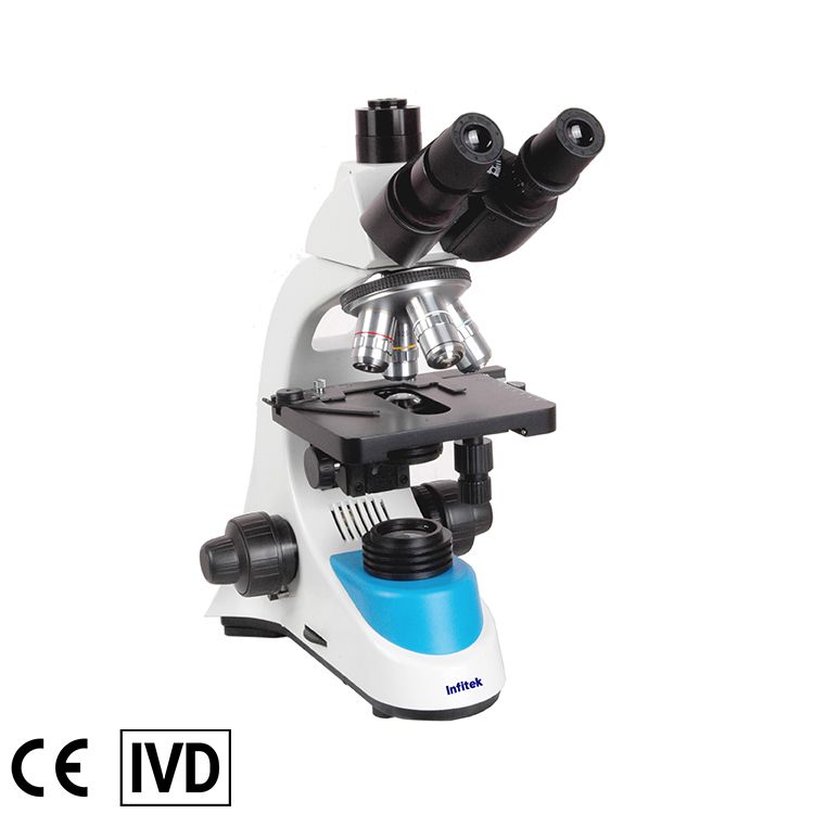 Biological Microscope, MSC-B208T(Siedentopf) — Mikroskop