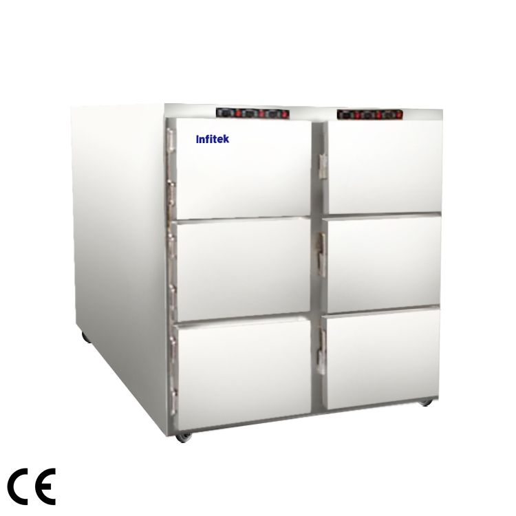 (Conventional) Corpse Refrigerator, MCFR-6000, 6 corpses — Refrigerator & Freezer Laboratorium