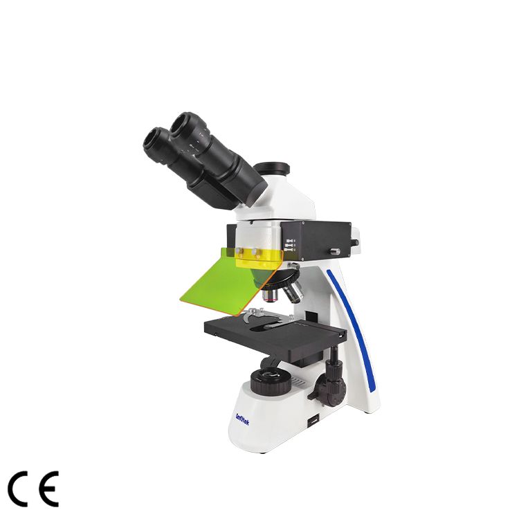 Fluorescence Microscope, MSC-F31 — Mikroskop