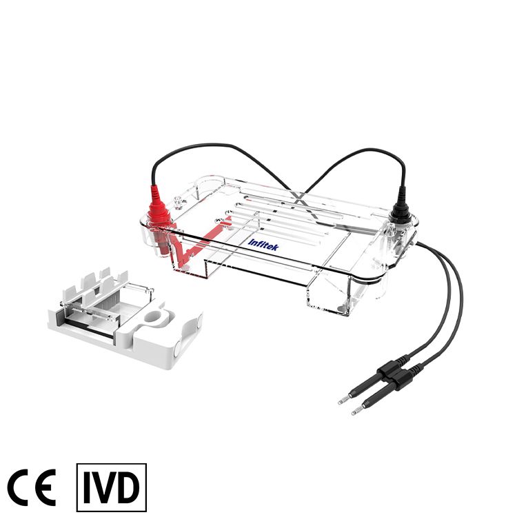 Horizontal Electrophoresis Cell, GEP-HH-SUB01 — Elektroforesis, PCR & Biologi Molekuler