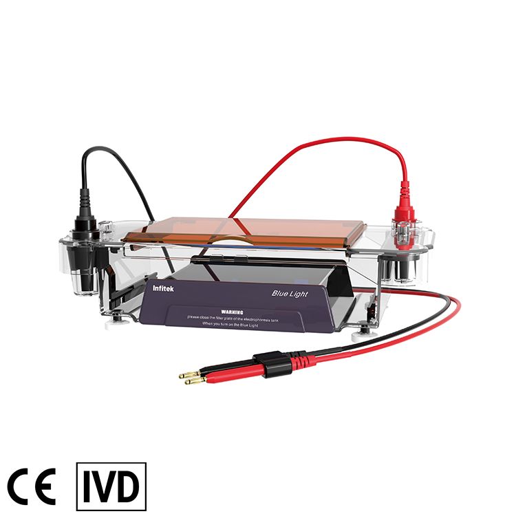 Horizontal Electrophoresis Tank, GEP-HH-SUB03 — Elektroforesis, PCR & Biologi Molekuler
