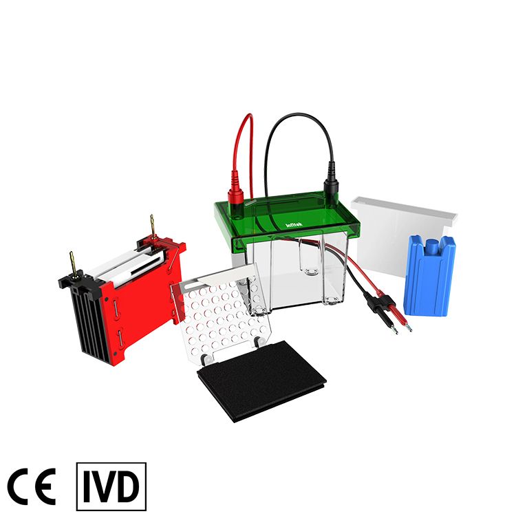 Mini Transfer Electrophoresis Tank, GEP-TH-ZY02 — Elektroforesis, PCR & Biologi Molekuler