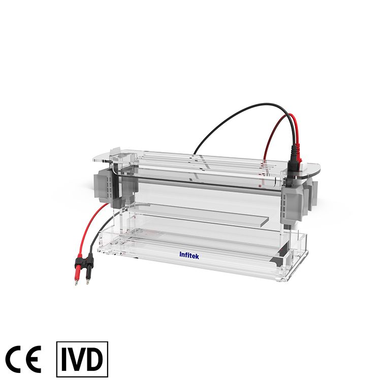 Vertical Electrophoresis Tank, GEP-VH-SCZ04B1 — Elektroforesis, PCR & Biologi Molekuler