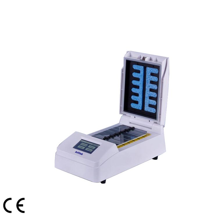 In Situ Hybridization, FISH, ISH-12-01 — Elektroforesis, PCR & Biologi Molekuler