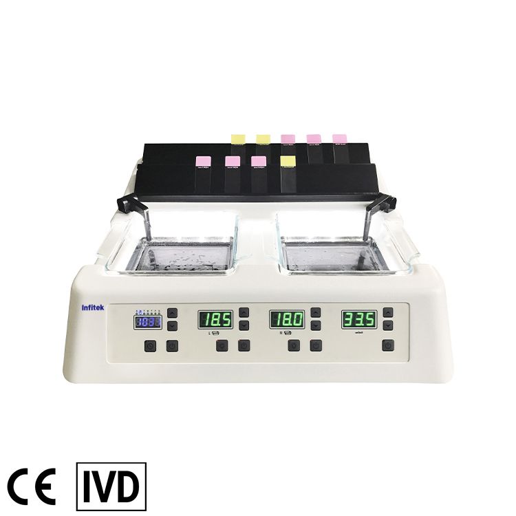 Flattening Station( Water Bath&Slide Dryer ), TSBW-T3 — Water Bath & Block Heater